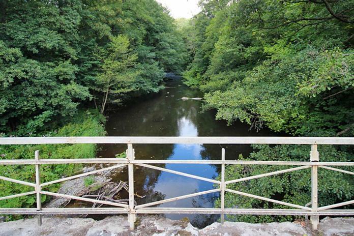 Ferienwohnungen Im Harz Altenbrak Exteriér fotografie